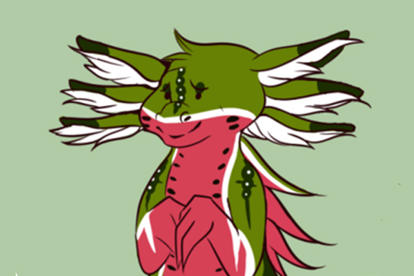 Axolotl Dragon
